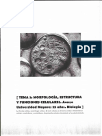 TEMA 2 Morfologia Estructura y Funciones Celulares