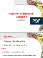 Human Nutrition Lesson 4