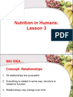 Human Nutrition Lesson 3