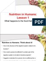 Human Nutrition Lesson 1