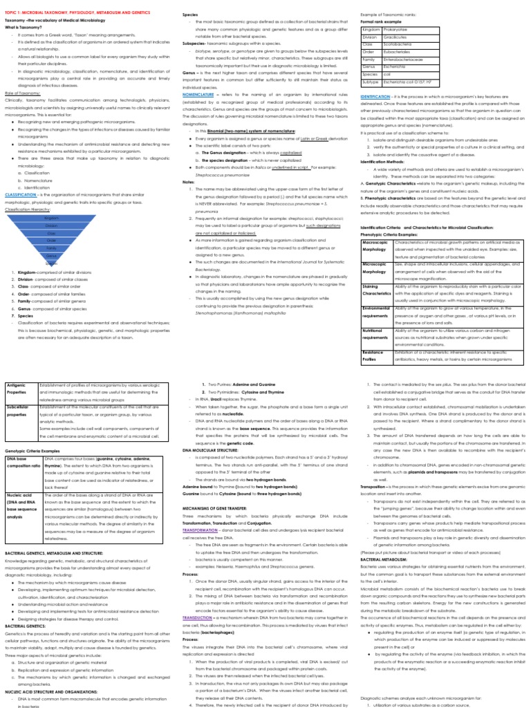 MC3 - MIDTERM Notes | PDF | Staining | Fermentation