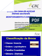 Broca Da Cana-De-Açúcar Monitoramento e Controle CTC