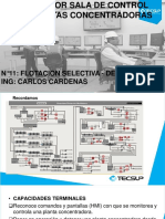 N°11 Flotacion Selectiva - Detencion