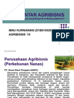 Perusahaan Agribisnis