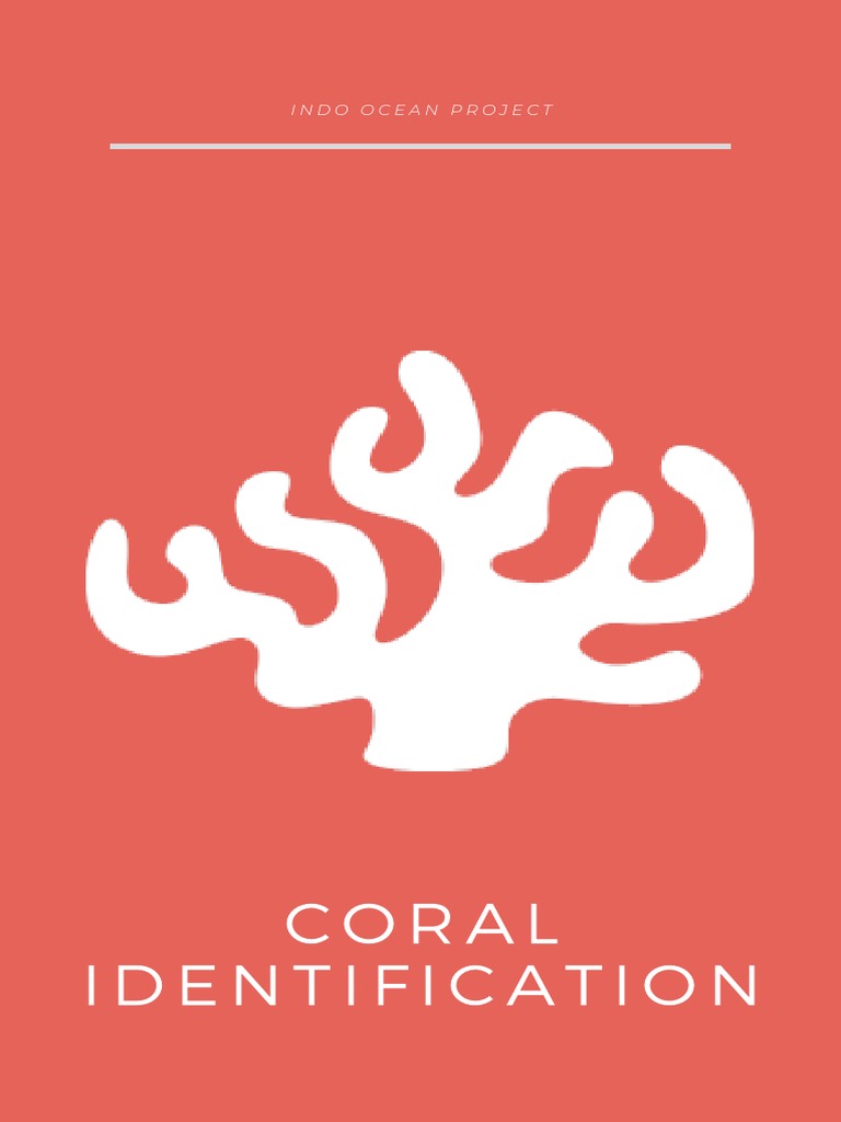 Coral プロフィール必読 Forest Green Cabbage Leather Soft Coral | Corals Anonymous