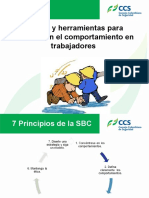 Modelo de Los 7 SBC