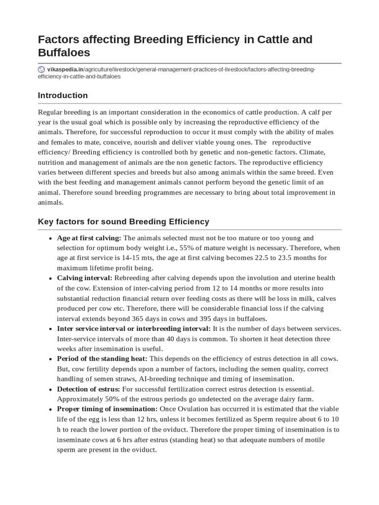 Enhancing Breeding Efficiency in Cattle | PDF | Dairy Cattle | Cattle
