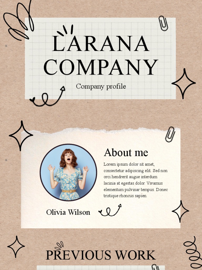 Larana Company Profile Overview | PDF