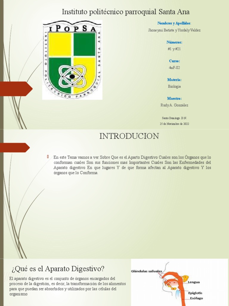 Instituto Politécnico Parroquial Santa Ana | PDF | Sistema digestivo ...