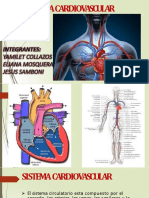 Sistema Cardiovascular