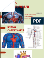 Sistema Cardiovascular YAMILETH
