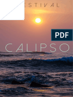 Calipso Brief Borrador 1