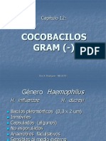CBG - (Cocobacilos GRAM - )