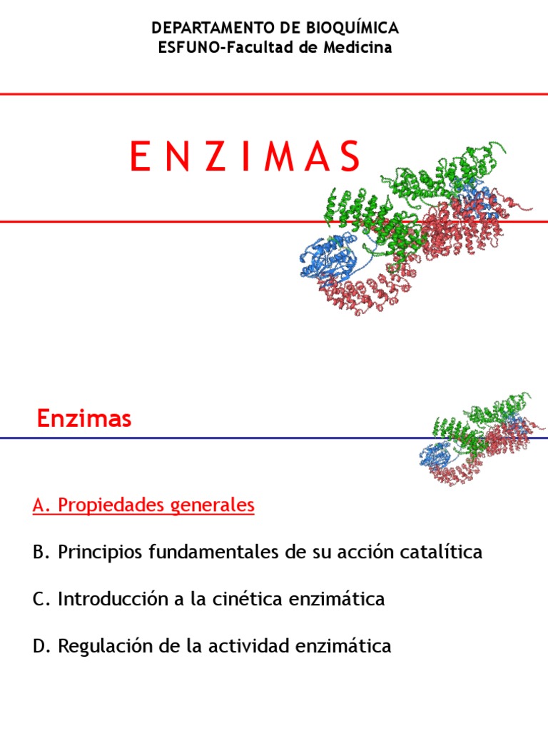 Teor 6 Enzimas 1 Pdf Inhibidor De La Enzima Enzima