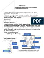 Practica 10. Observacion y Caracterizacion de Estructuras de Los Basidiomycetos
