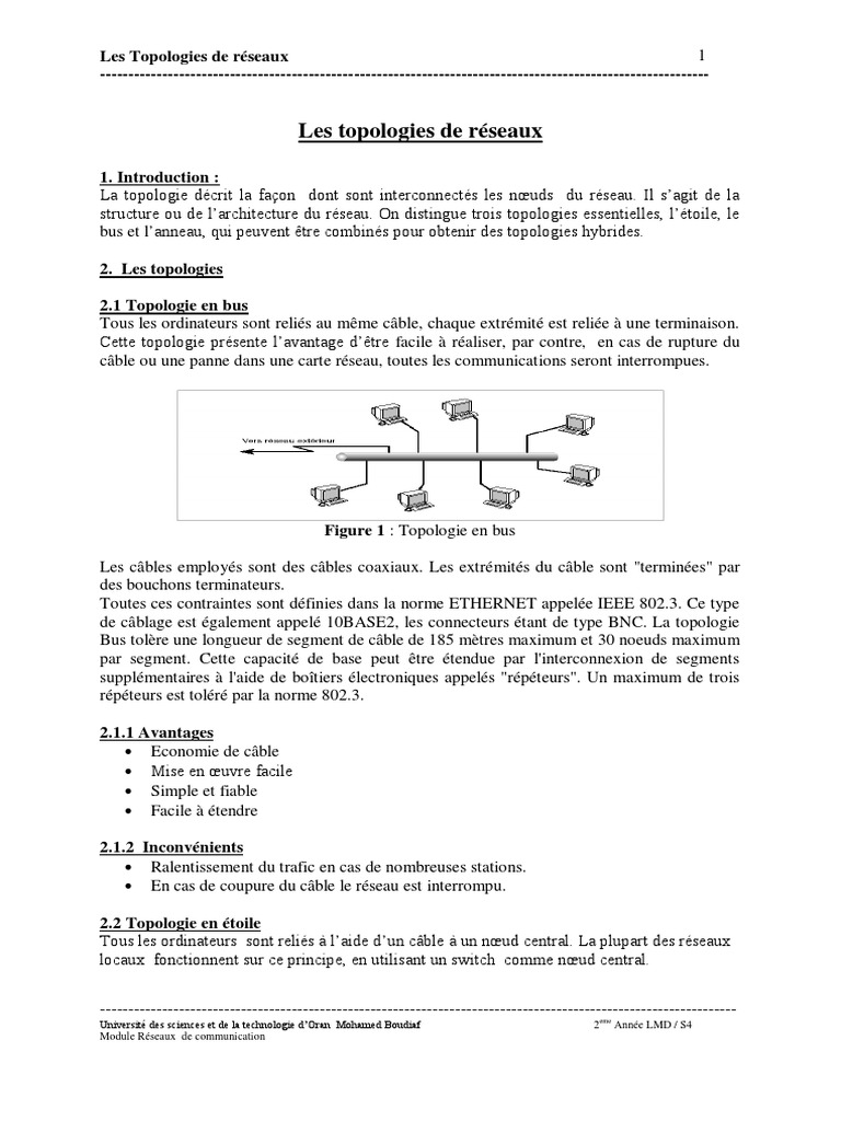 Topologies de Réseaux Maillés et Autres | PDF | Ordinateurs