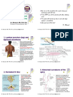 01 Anatomy Shelf Notes