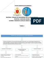 Teoria Del Autocuidado Mapa Conceptual