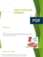 Enfermedad Vascular Cerebral