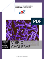 Vibrio Cholerae