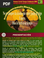 ORAR en Semana 16 Del Tiempo Ordinario 2008