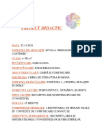 Proiect Didactic-Substantivul