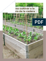 Dosier Cultivar A La Altura de La Cadera