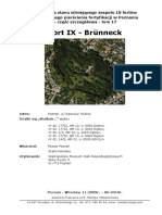 Fort IX - Brunneck - Diagnoza Stanu Aktualnego