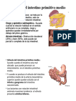 Anomalías Del Intestino Primitivo Medio