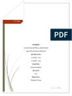 Practica Final Proyecto Actual