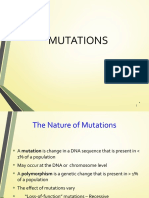 The Nature of DNA Mutations