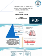 Pae - Derrame Pleural