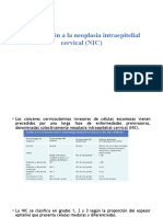 NIC: Introducción a la neoplasia intraepitelial cervical