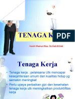 Gizi Tenaga Kerja