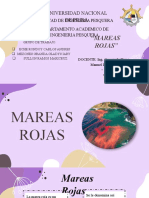 Mareas Rojas 