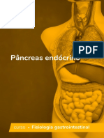 1586883658-Pancreas Endocrino