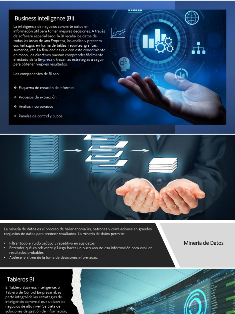 Inteligencia de Negocios y Adquisición de Datos | PDF | Bases de datos ...