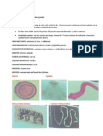 Parasito Lab 3er Parcial Repaso