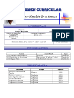 currículum danyer 3