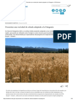 Presentan Una Variedad de Cebada Adaptada A La Patagonia - INTA Informa