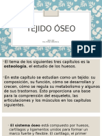 Tejido Óseo