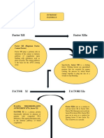 Intrinsic Extrinsic Pathway