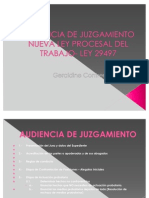 Audiencia de Juzgamiento - Nueva Ley Procesal Del Trabajo - Dra. Geraldine Contreras Ramirez