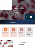 Immune System B & T Cells: Chandrak Raghunandan Immunology Date:13/09/2022