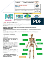 3° - CTS - Guia #4 Ii Periodo