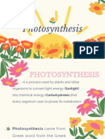 DAY 2 Photosynthesis