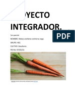 PROYECTOINTEGRADOR