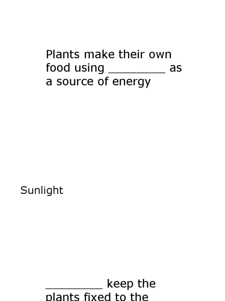 Class 4 Science Quiz Plants PDF