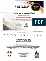 Certificados Dos Cursos