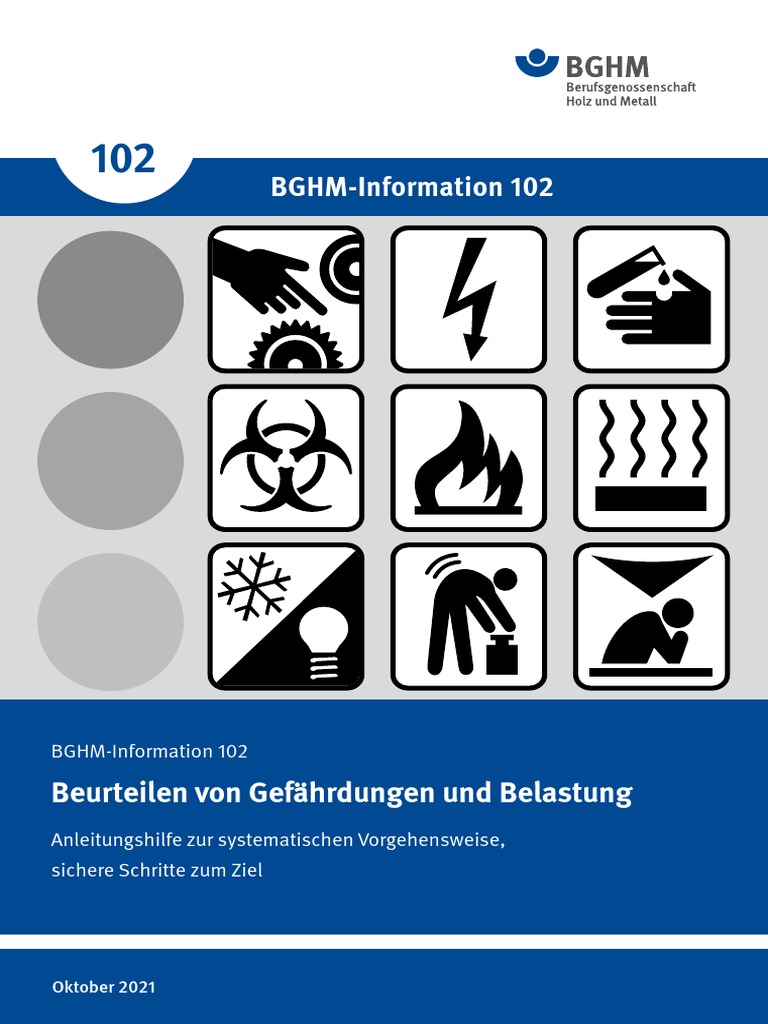 betriebsanweisung lärm und vibration SVLFG
